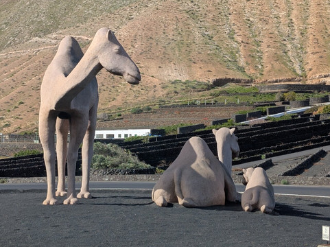 Rotonda De Los Camellos