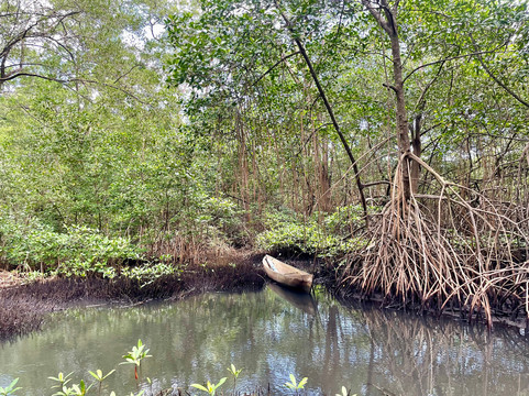 Panamore-Portobelo必去景点