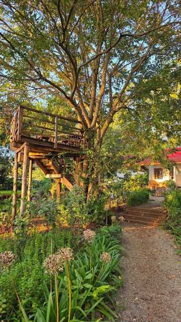 Simba Farm Lodge-官方