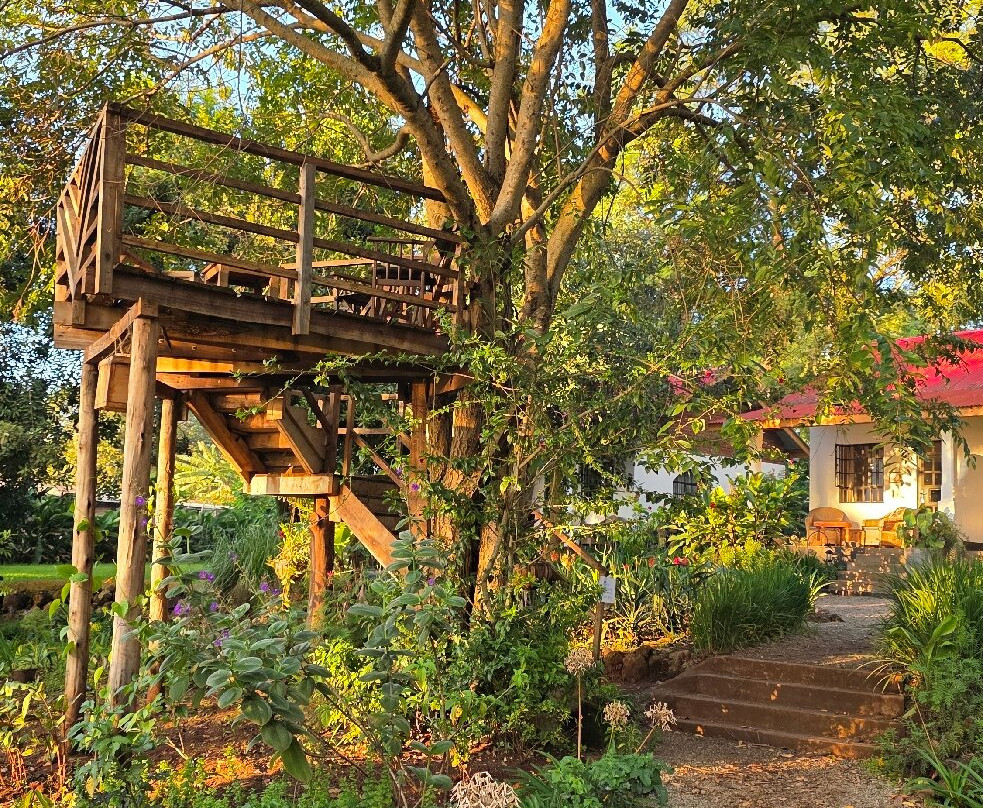 Simba Farm Lodge主图