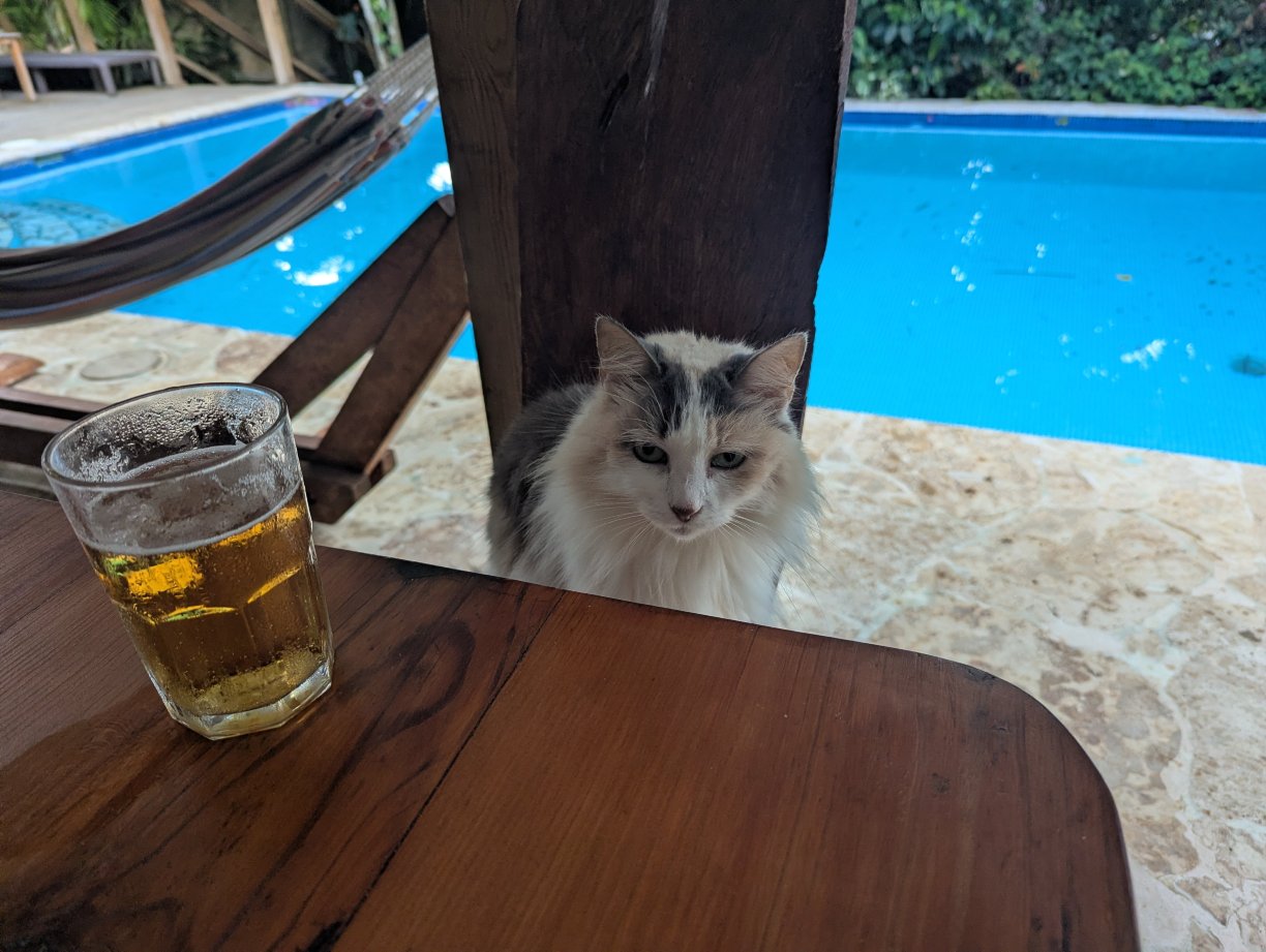 Surfbreak Cabarete B&B Surf And Yoga-官方