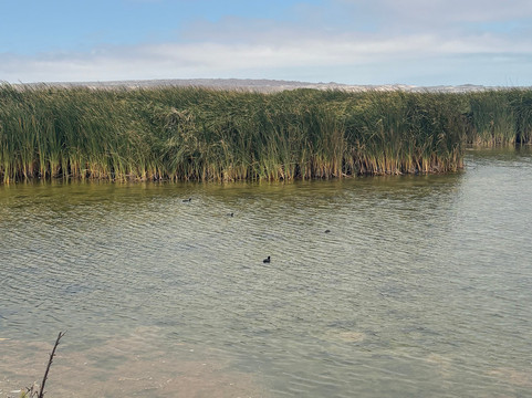 GeoTurismo Atacama-Caldera必去景点