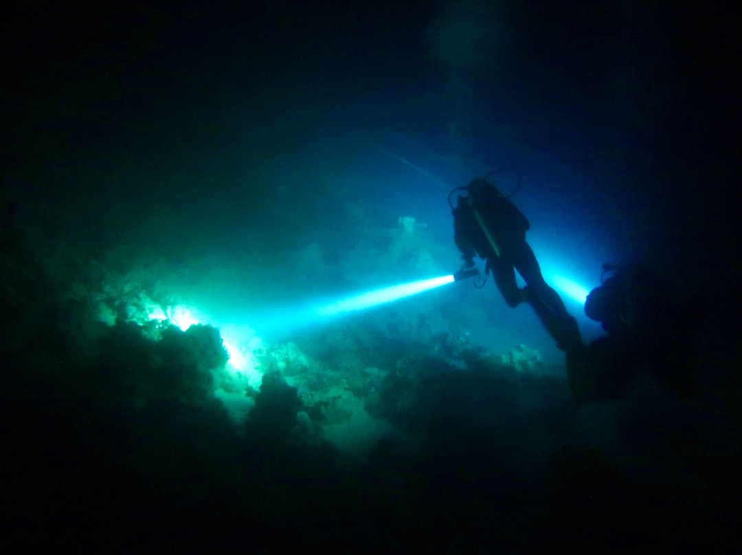 Volkert Dive Center-Safaga必去景点