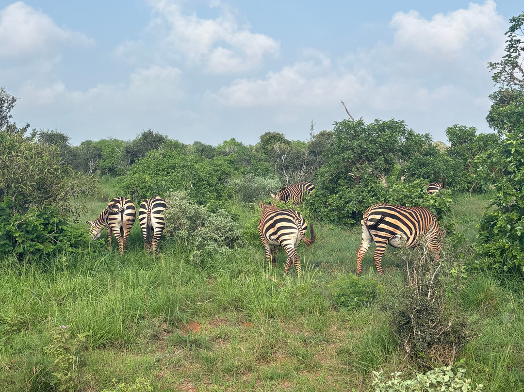 Elky Tours & Travel Kenya-迪亚尼必去景点