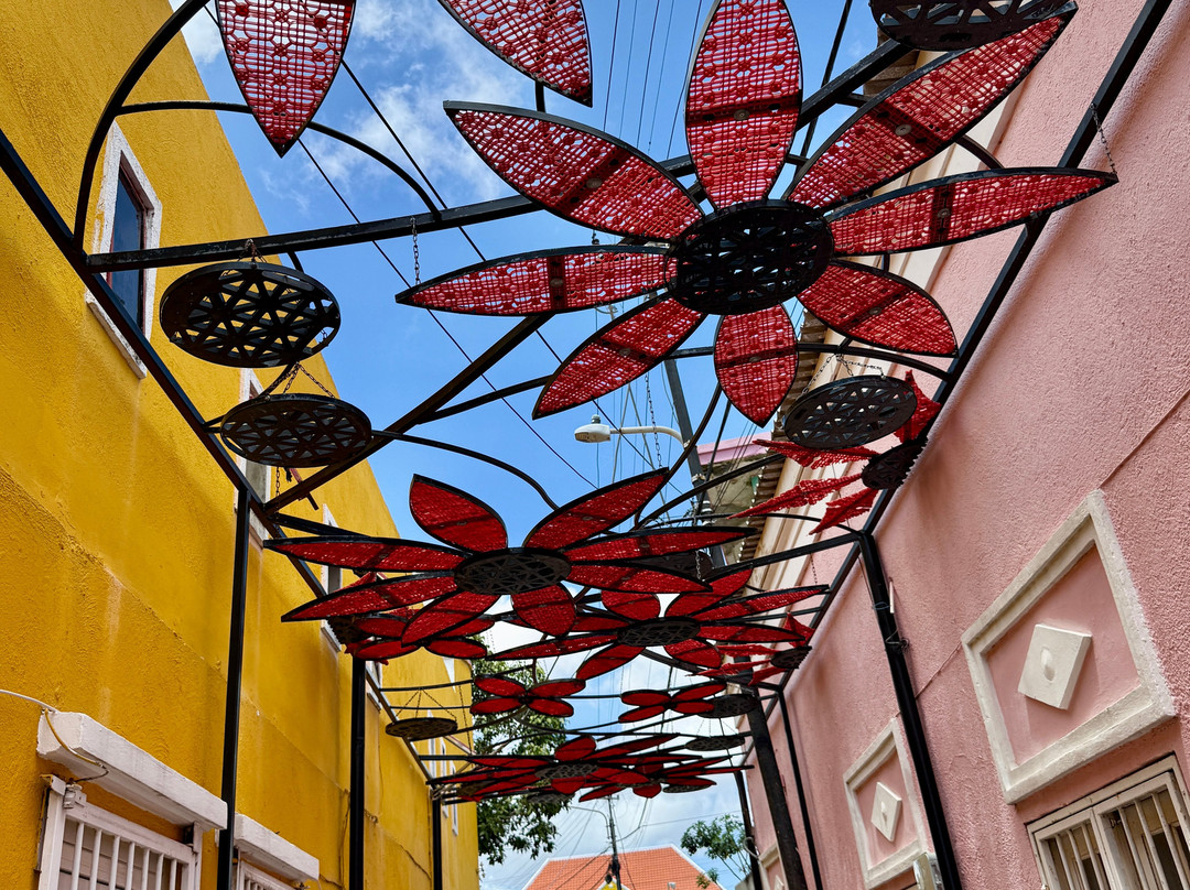 Dushi TukTuk Rentals-威廉斯塔德必去景点