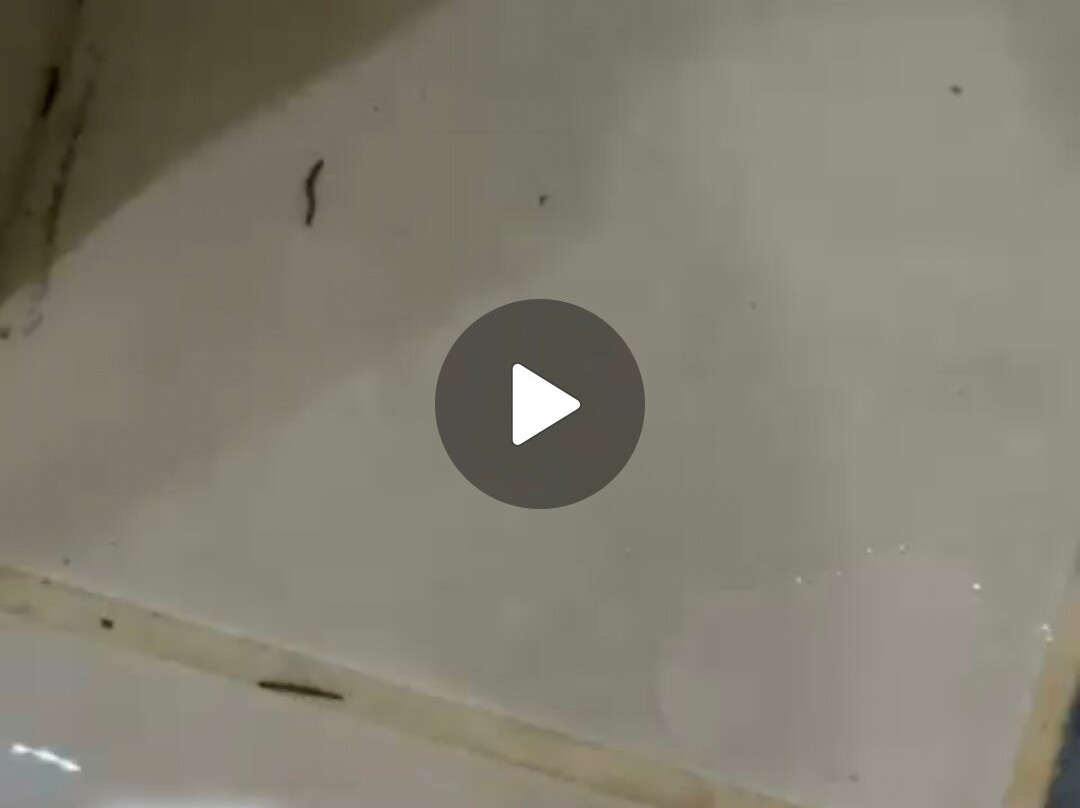 彼得马里茨堡轻松住宿主图