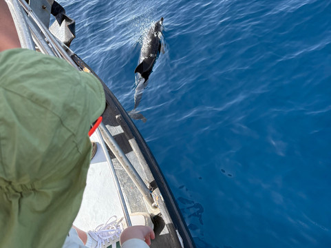 AquaSports-大加纳利必去景点