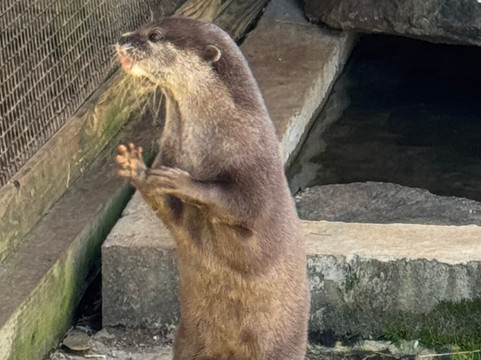 North Georgia Wildlife Park-Cleveland必去景点