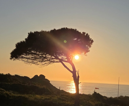 圣拉斐尔套房酒店主图