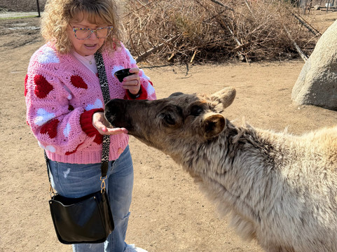 Leavenworth Reindeer Farm-莱文沃思必去景点