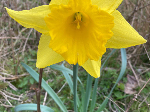 The Walton Hall Spa & Leisure Club-Wellesbourne必去景点