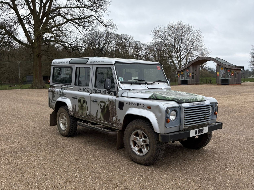 Woburn Safari Park-Woburn必去景点