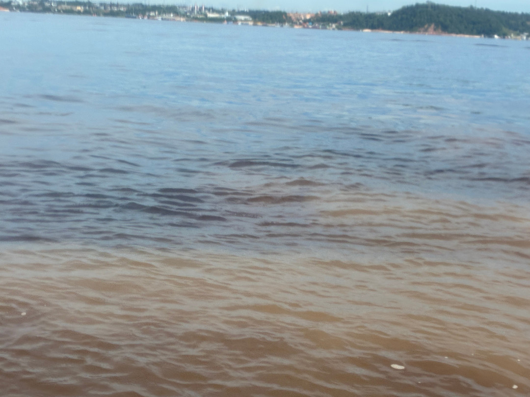 Amazon Explorers -  Manaus Day Tours-玛瑙斯必去景点