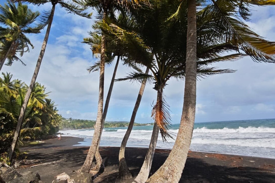 Plage de Grande Anse-Trois Rivieres必去景点