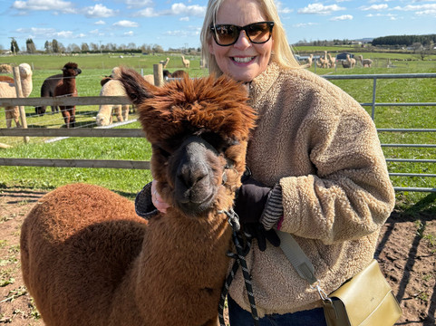 Charnwood Forest Alpacas-Boundary必去景点