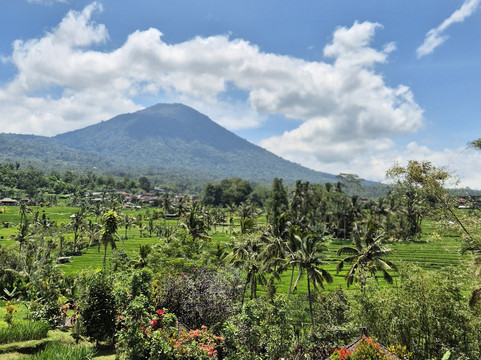 Bali Tropical Island Tours-库塔必去景点