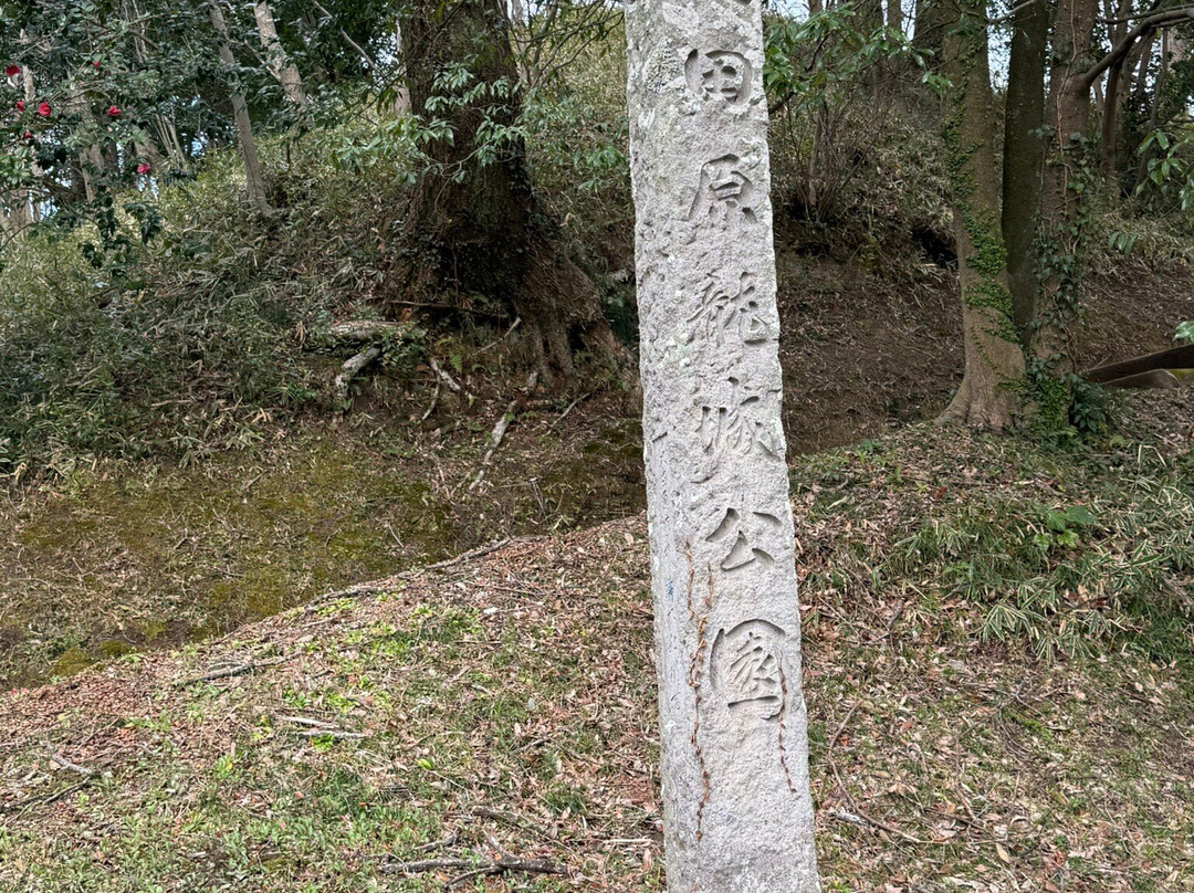 Ryujo Park-太田原市必去景点