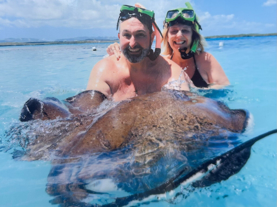 Stingray City-安提瓜必去景点