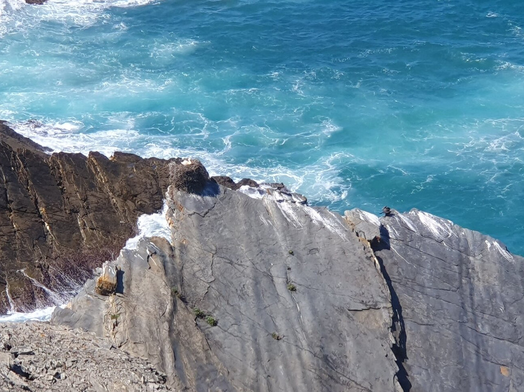 Hillwalk Tours-戈尔韦必去景点