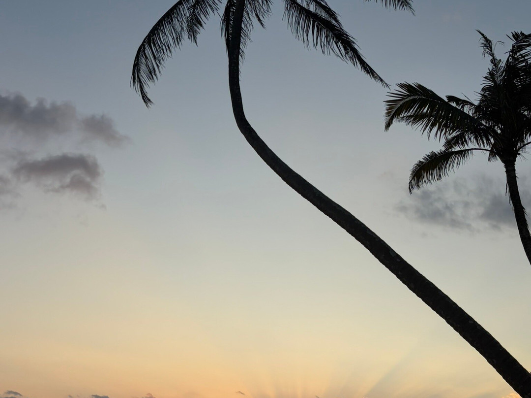 Sri Lanka Round Tour-瓦都瓦必去景点