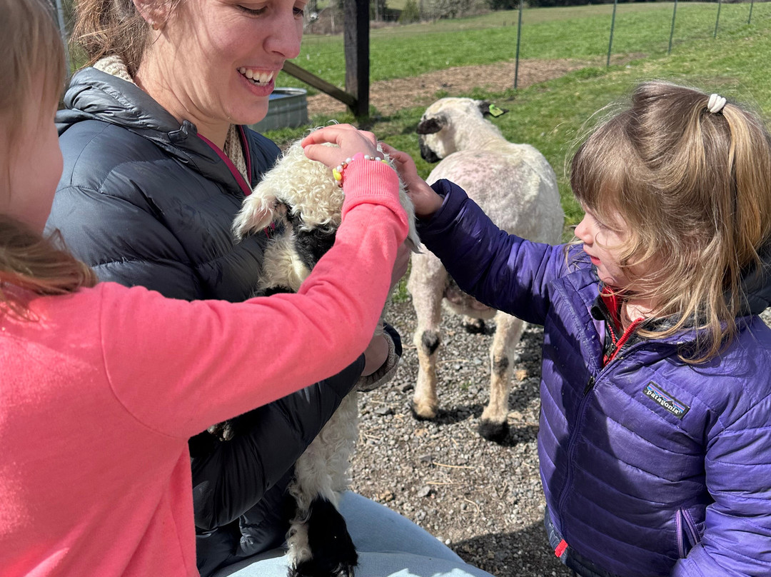 Amaro Farm-星期五港湾必去景点