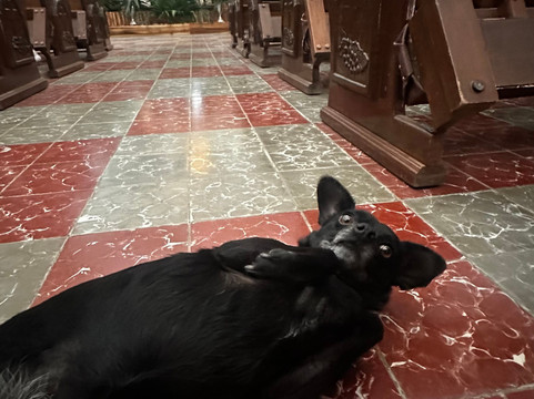 Vallarta Adventures-新瓦雅塔必去景点