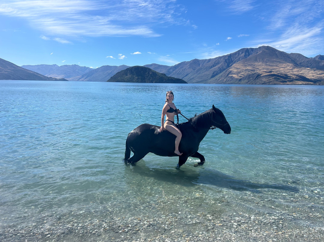 Wanaka Horse Trekking-瓦纳卡必去景点