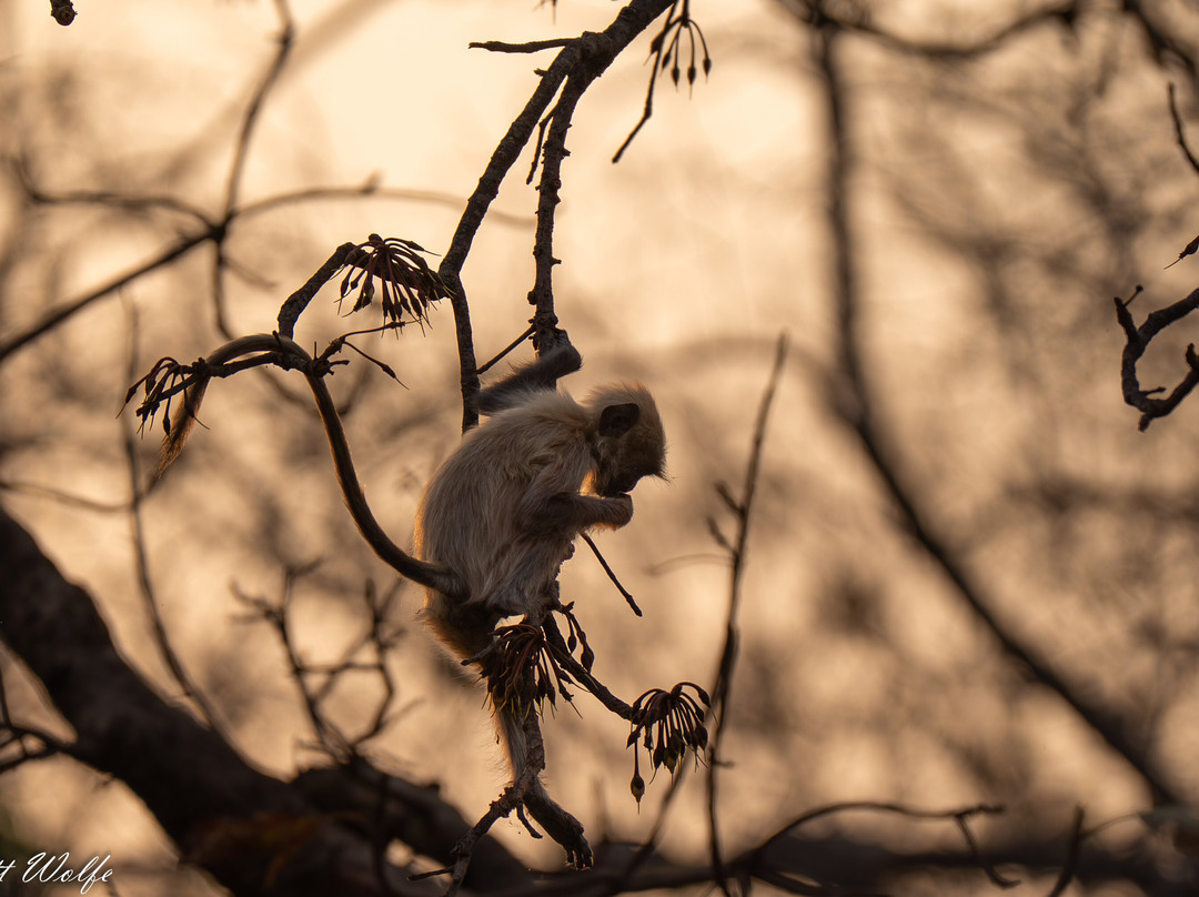 Indian Maharaja Tour-阿格拉必去景点