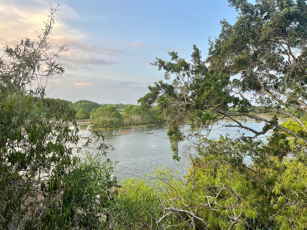 Kalametiya Eco Bird Watching-Kalametiya必去景点