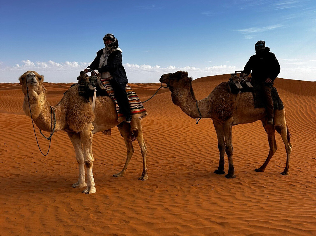 GSA-VOYAGES - Grand Sahara Aventures-杰尔巴岛必去景点