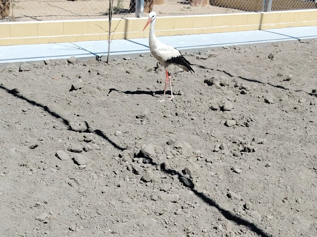 Parque Zoologico La Era las Aves-瓦拉多利德省必去景点