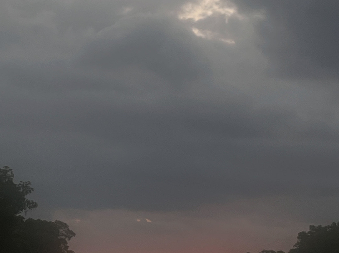 Nanan's Caroni Bird Sanctuary Tours-Caroni必去景点