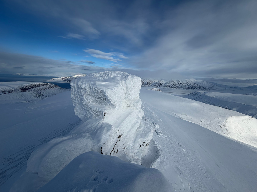 Svalbard Wildlife Expeditions-朗伊尔城必去景点