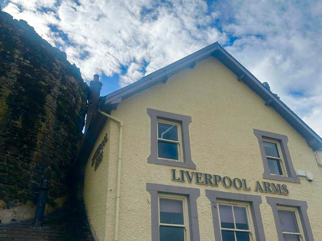 Conwy Quays Marina-Conwy必去景点