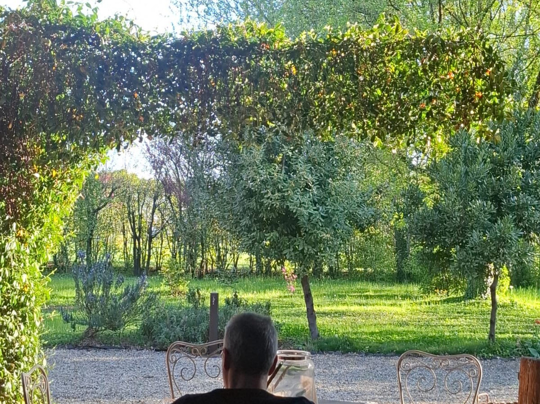 B&B Podere Merlo主图