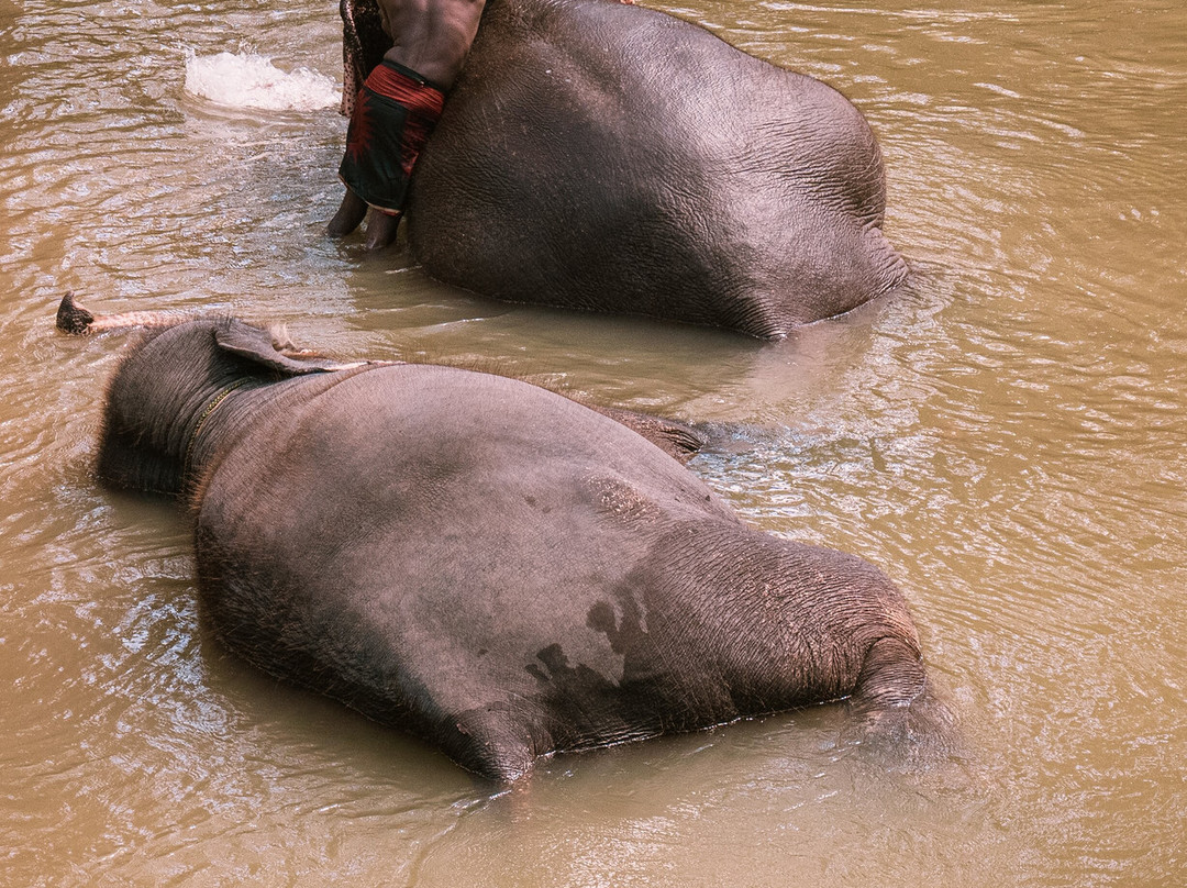 H.O.T Tourism-科伦坡必去景点
