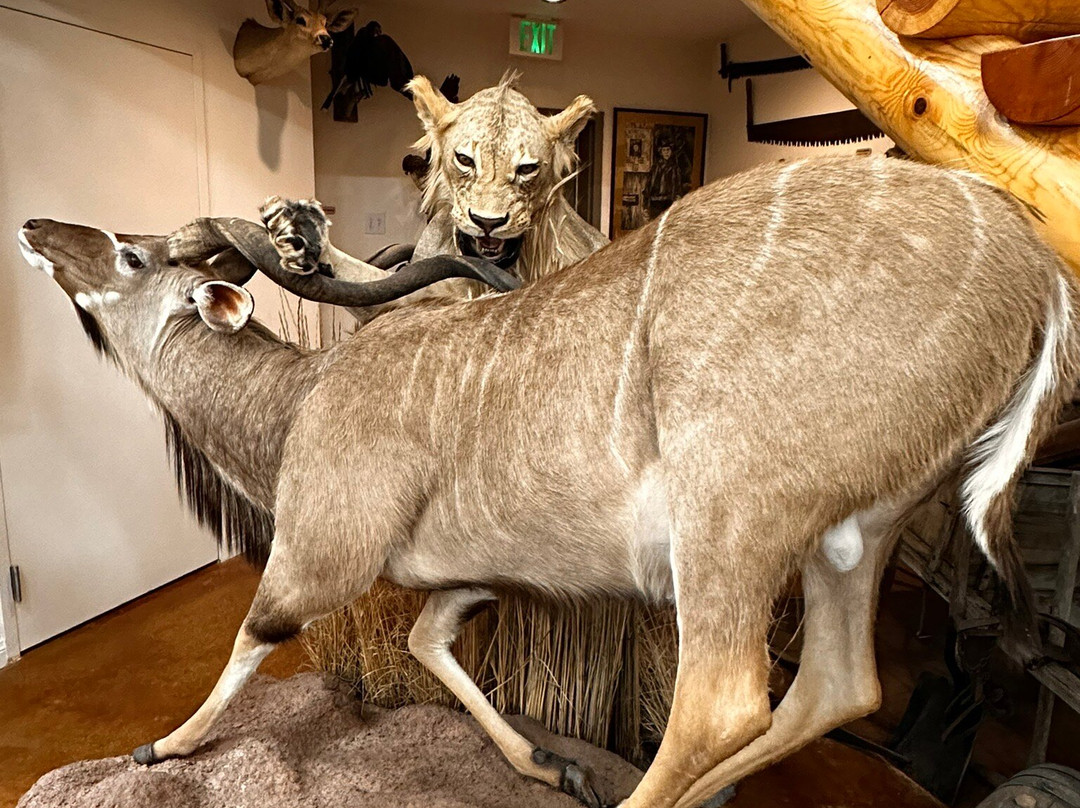 Bryce Wildlife Adventure-布莱斯必去景点