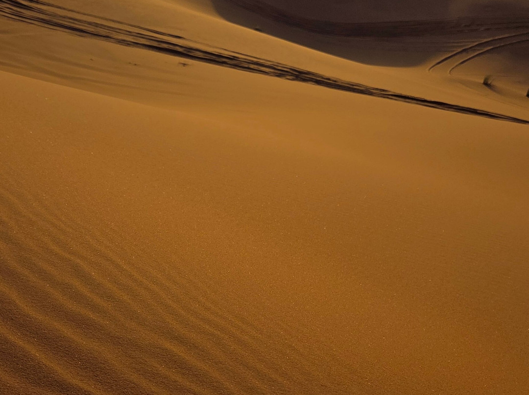 Wild Desert of Morocco-卡萨布兰卡必去景点