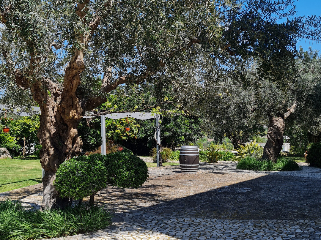 瑞莱斯托雷马拉比诺酒店主图