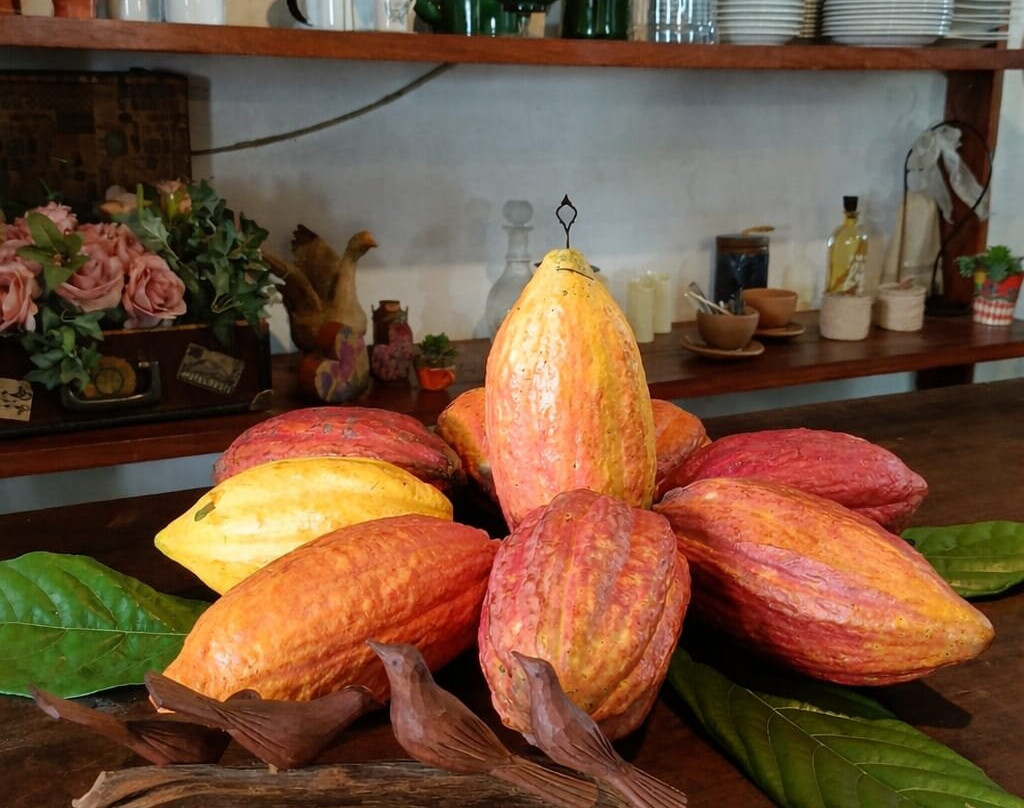 ilheus passeios-Ilheus必去景点