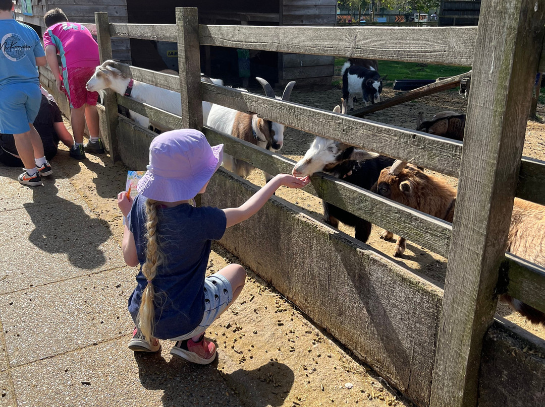 Finkley Down Farm-Andover必去景点