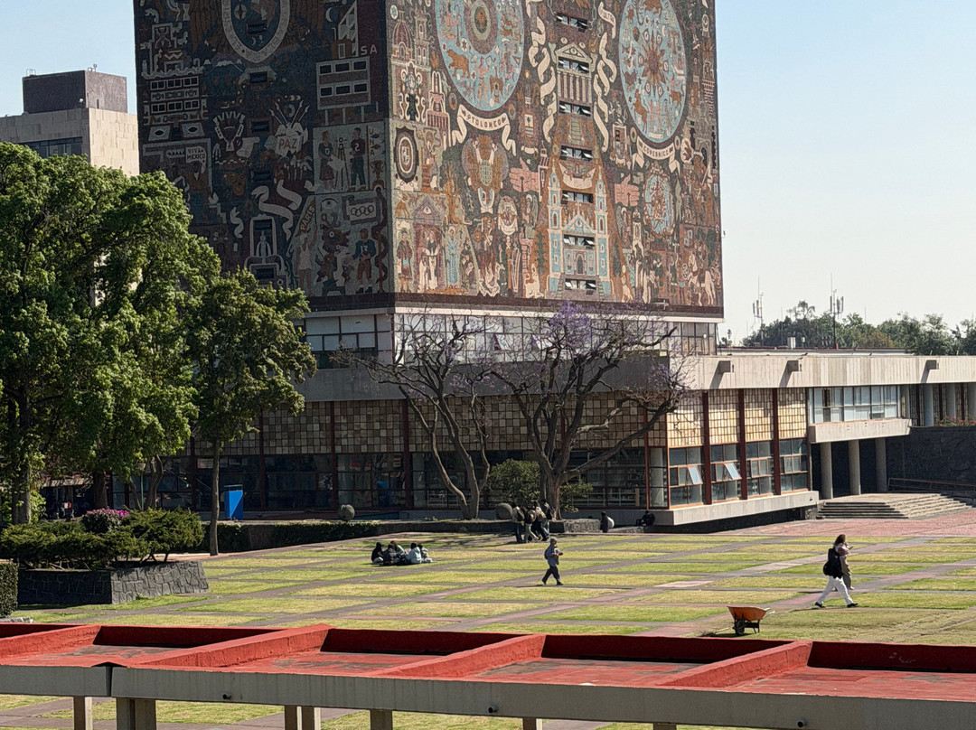 Estigo Tours-墨西哥城必去景点