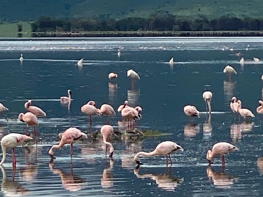 Leopard Tours Limited-阿鲁沙必去景点
