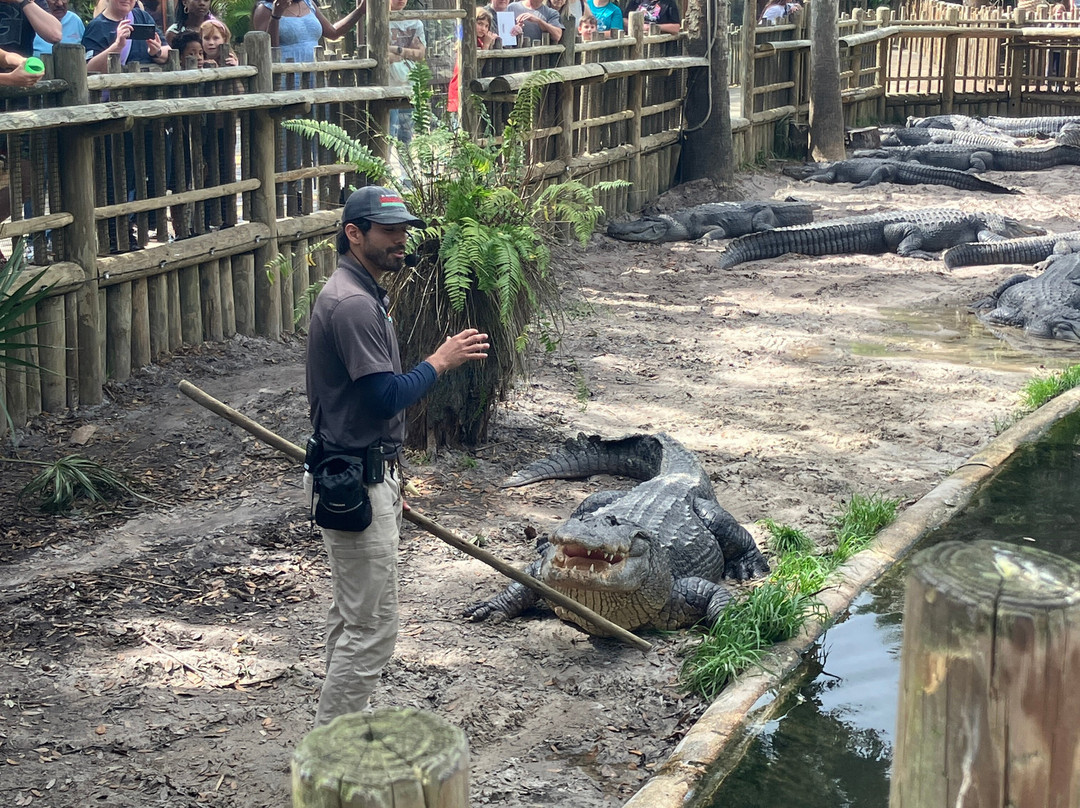 St. Augustine Alligator Farm Zoological Park-圣奥古斯丁必去景点
