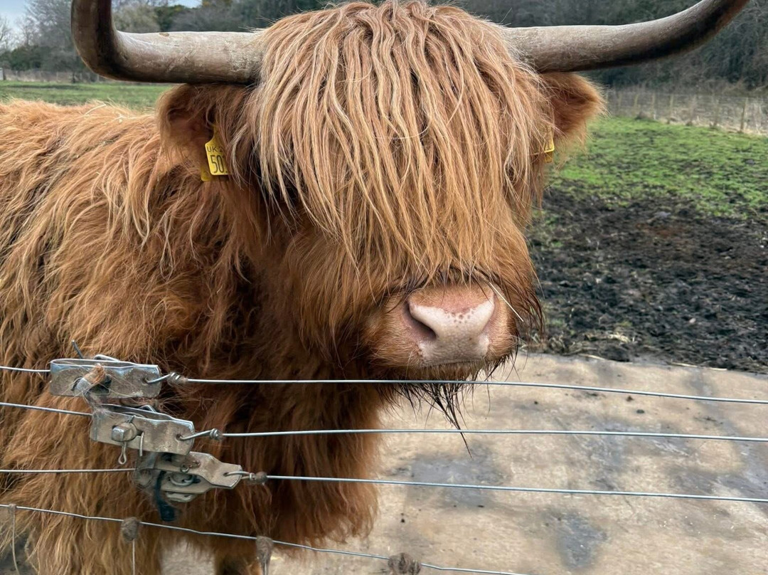Five Sisters Zoo-West Calder必去景点