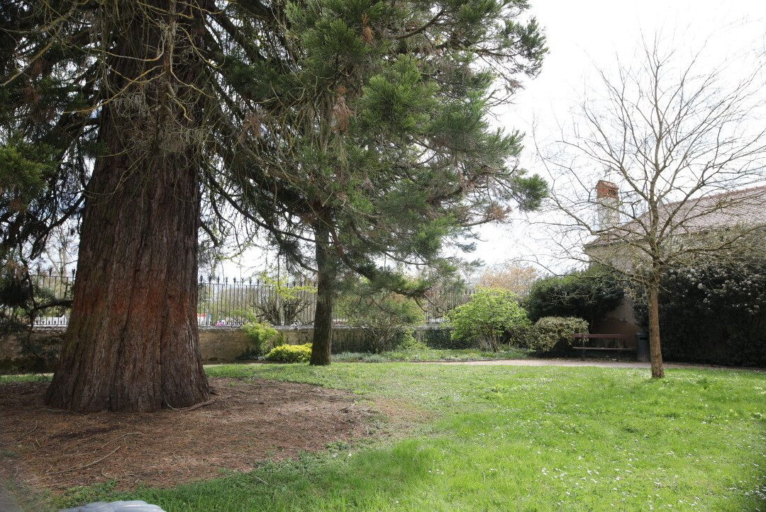 Jardin Botanique des Chevannes-多勒必去景点