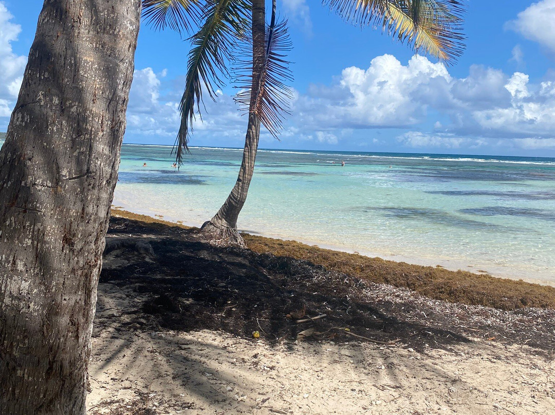 Plage de Bois Jolan-Sainte-Anne必去景点