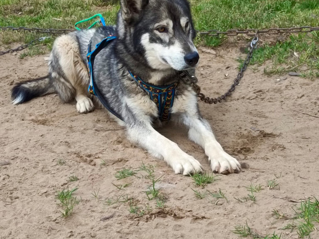 Latitude Nordique-Braslou必去景点