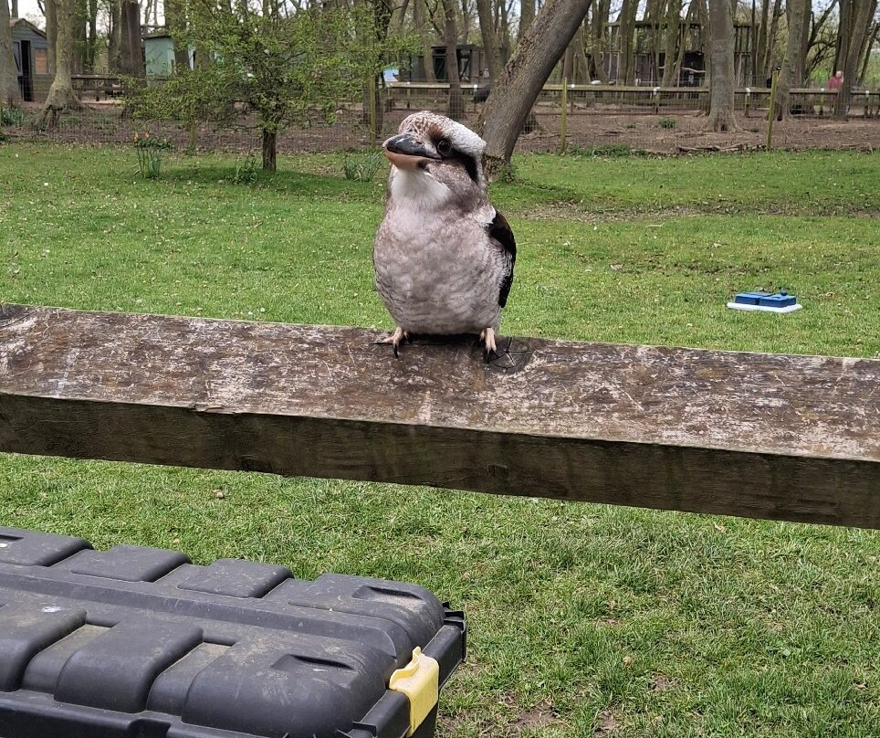 Bridlington Animal Park-布里德灵顿必去景点