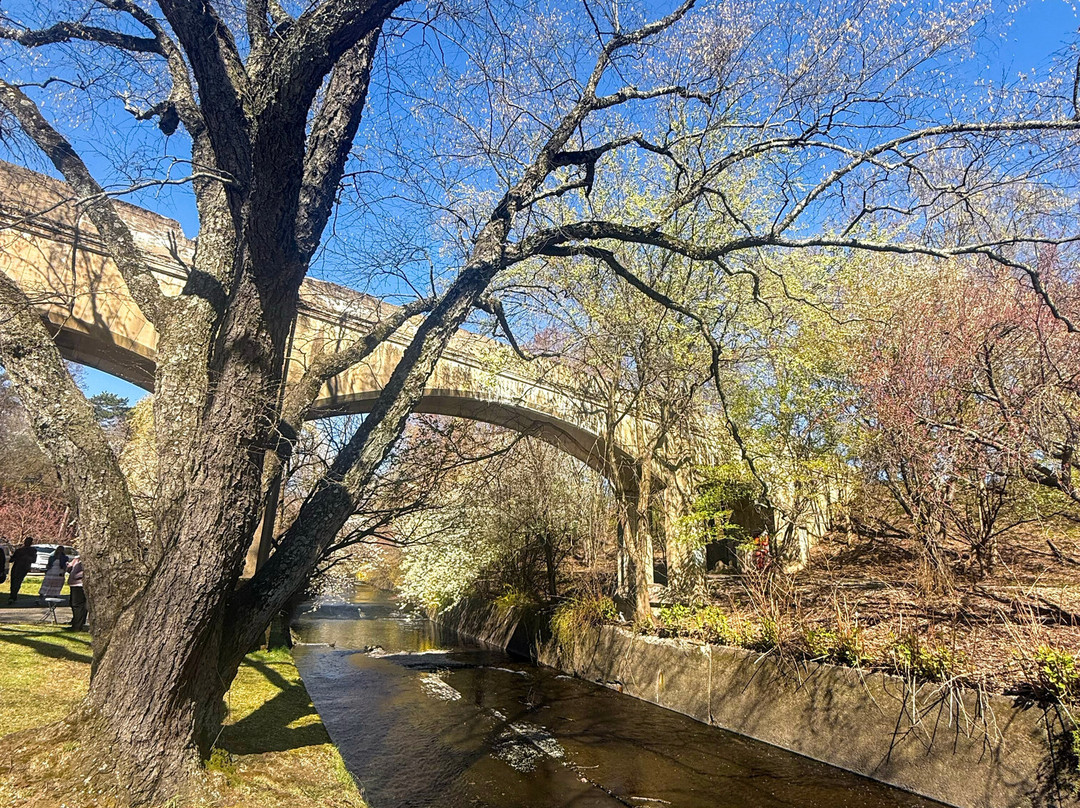 Branch Brook Park-纽瓦克必去景点